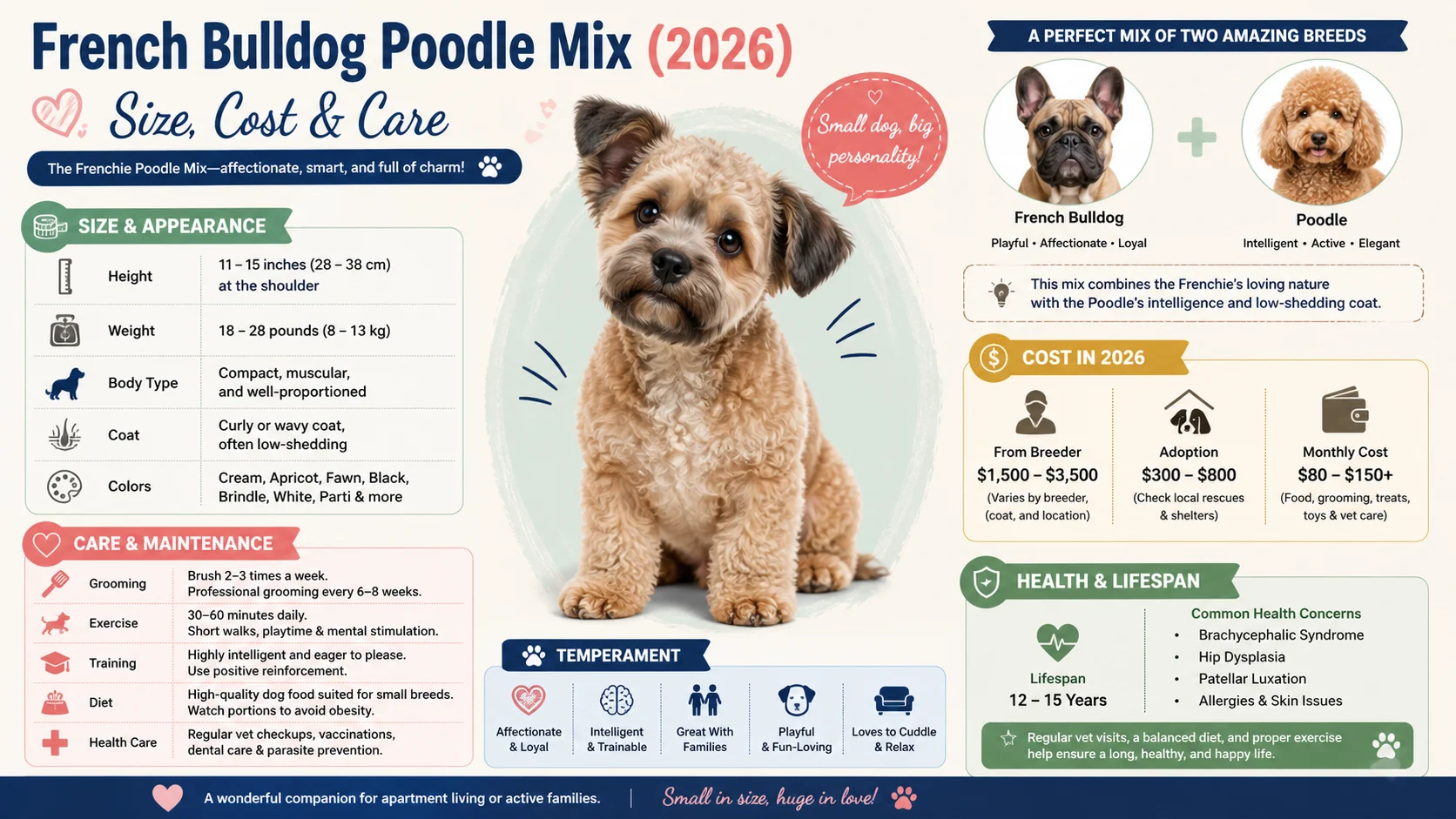 French Bulldog Poodle Mix