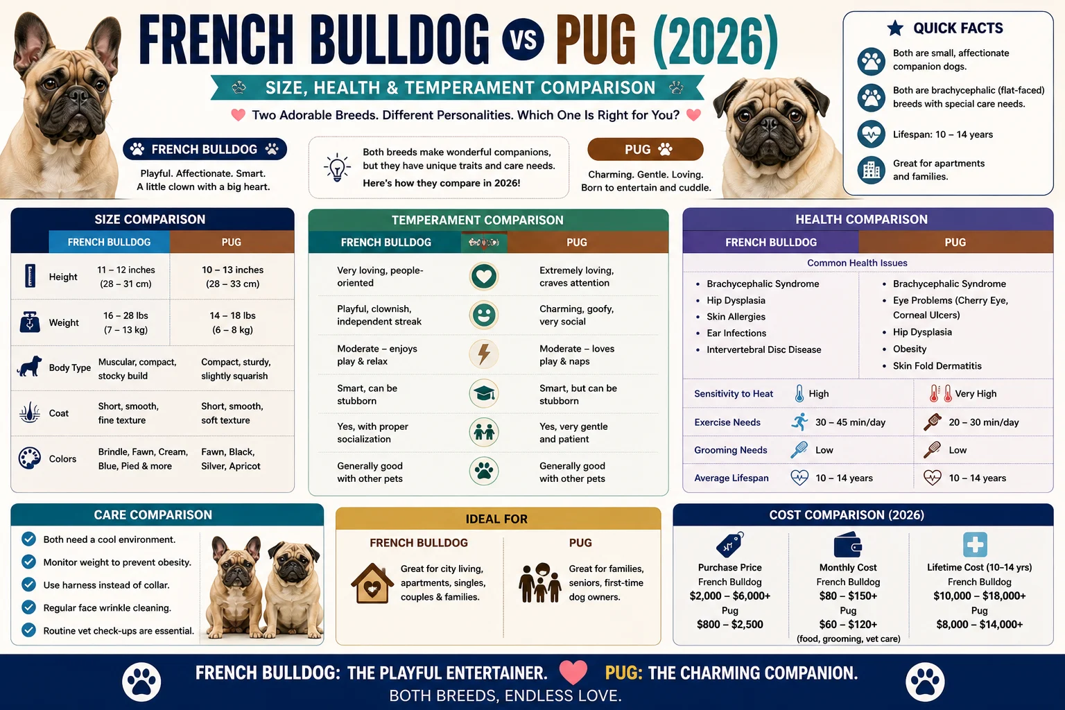 French Bulldog vs Pug