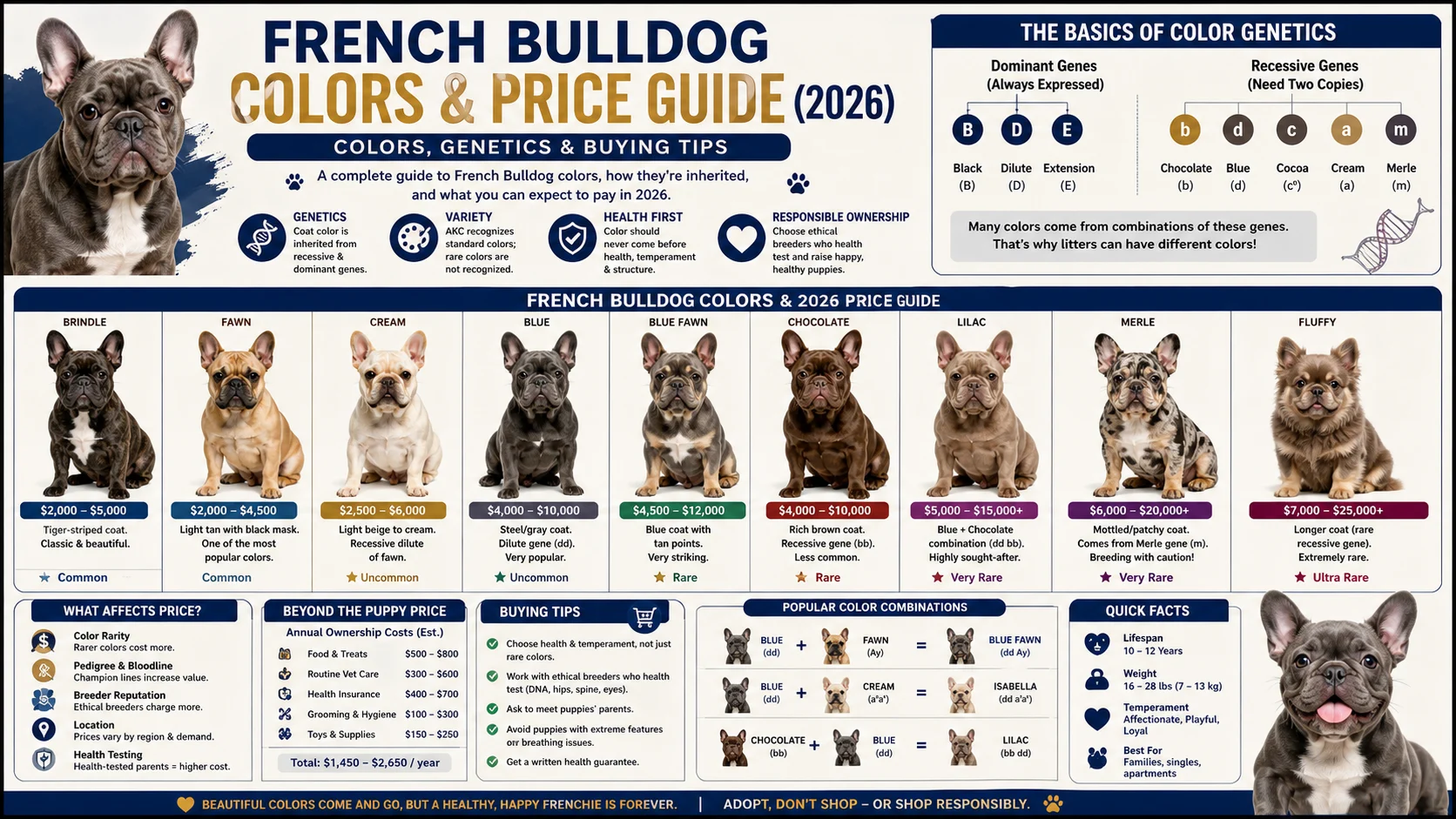 french bulldog colors price