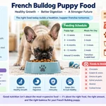 French Bulldog Puppy Food