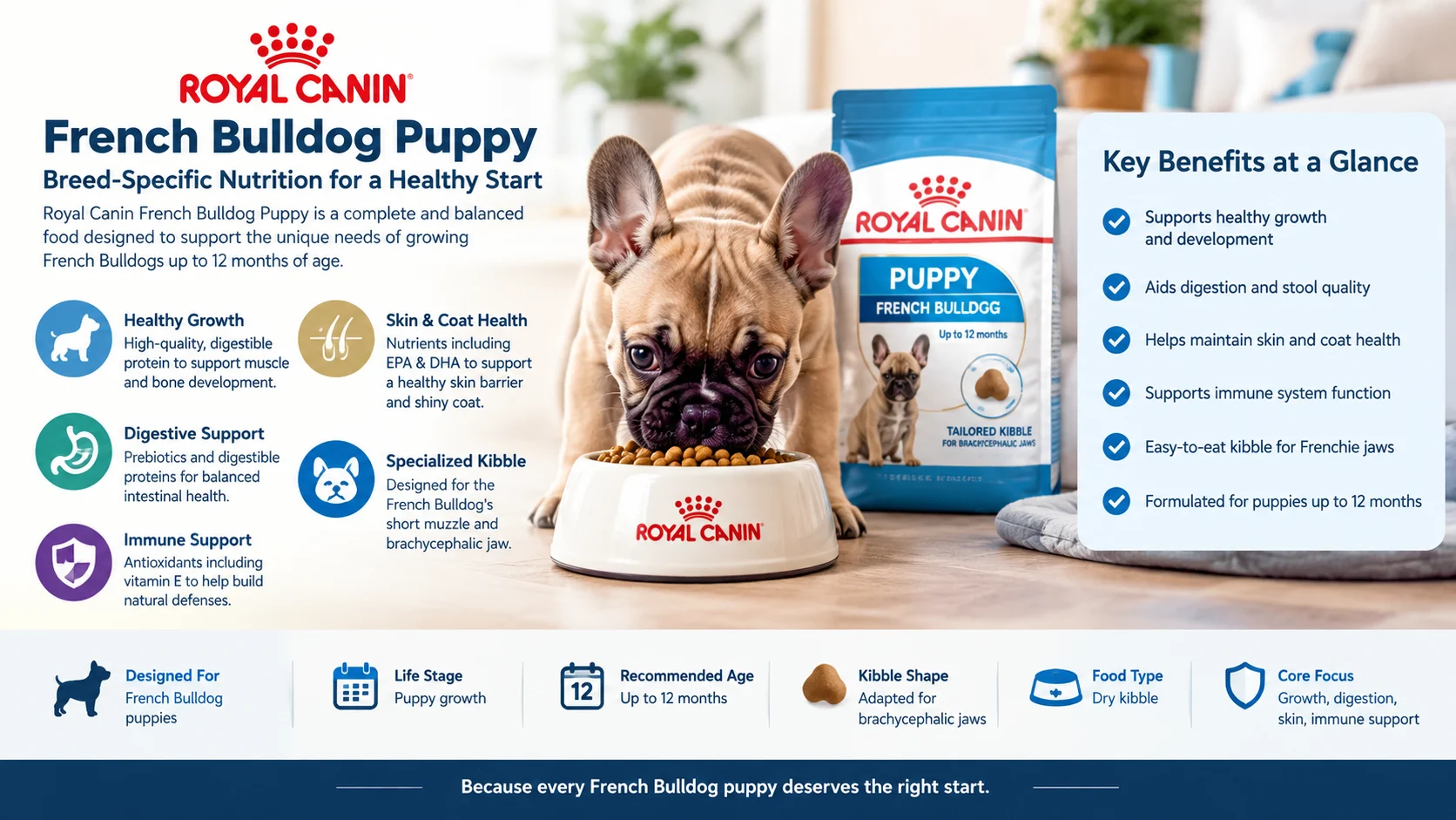 royal canin french bulldog puppy