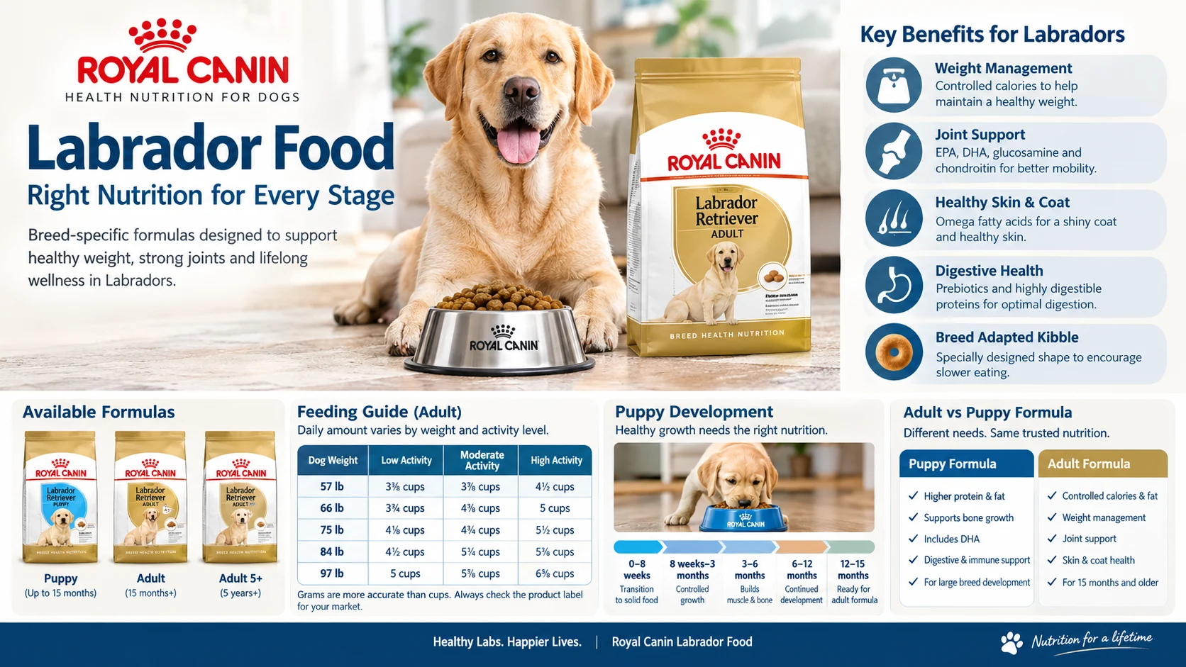 royal canin labrador food