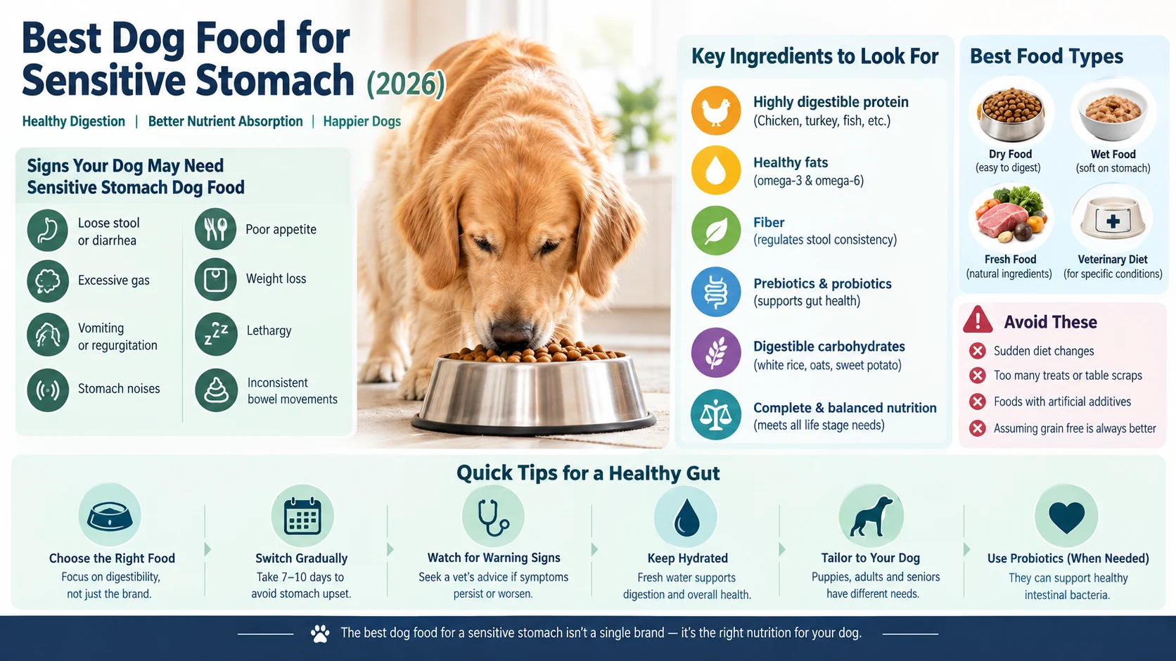 Best Dog Food for Sensitive Stomach