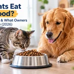 Can Cats Eat Dog Food