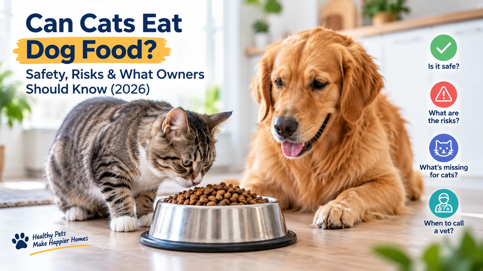 Can Cats Eat Dog Food